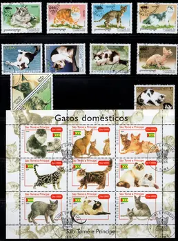 50gab/Daudz Kaķu, Kaķēnu Zīmogs Tēmu, Visi, kas Atšķiras No Daudzām Valstīm NAV Atkārtot Pastmarkas ar Post Zīmes Savākšanai